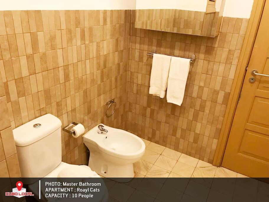Royal Cats Apartment ポルト エクステリア 写真